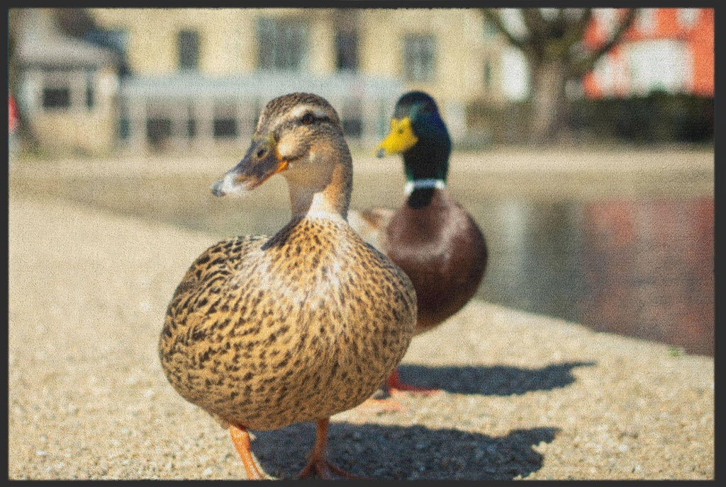 Fussmatte Enten 6246-Matten-Welt