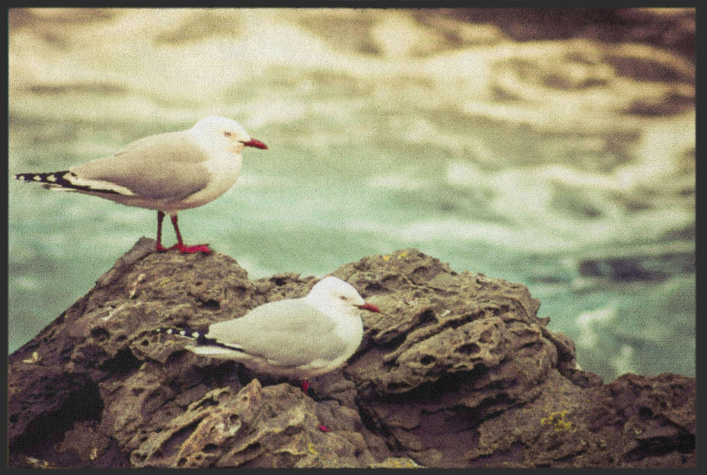 Fussmatte Möwe 6327-Matten-Welt