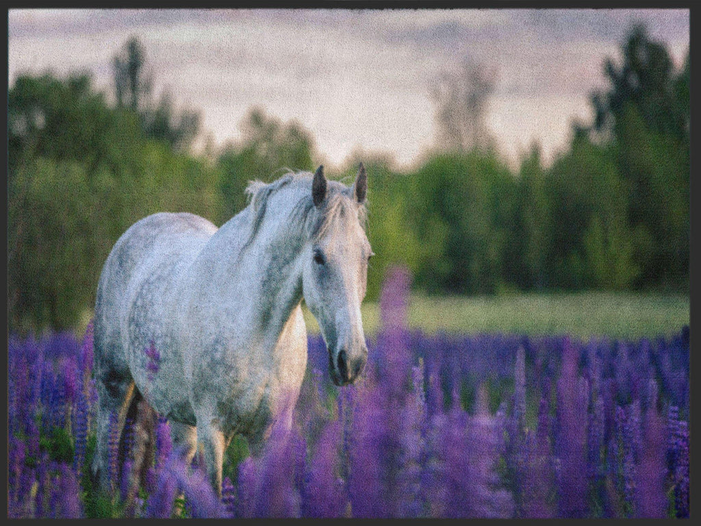 Fussmatte Pferd 4981-Matten-Welt